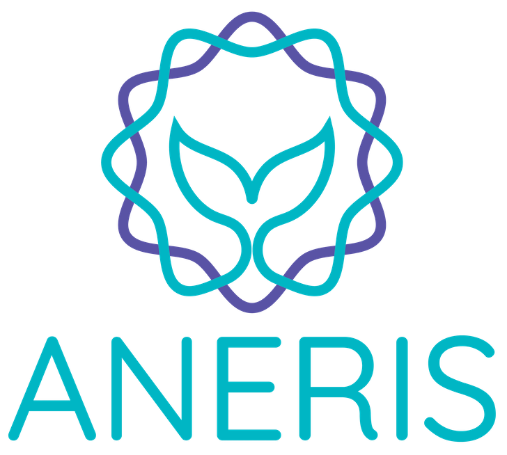 logo The ANERIS project